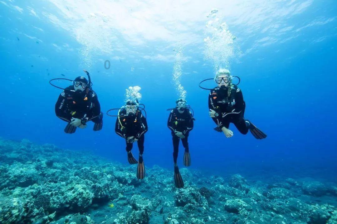 海底世界填颜色4