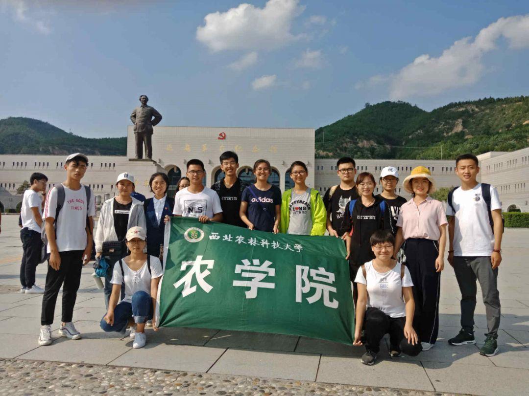 像素小战士酷跑