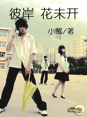 深圳昆仑鸿星拔得头筹